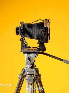 土豪尤物『抖叔』+色影大神『酒月』+頂級女神『希威社』最強七月甄選 視覺盛宴 -Reservoir Dog